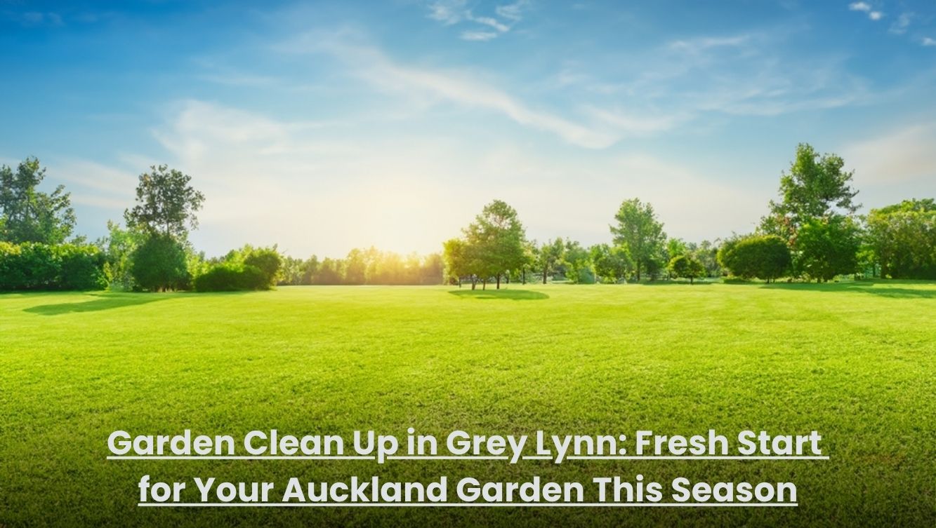 Professional garden clean up service in Grey Lynn Auckland trimming hedges and clearing garden waste for a fresh seasonal look