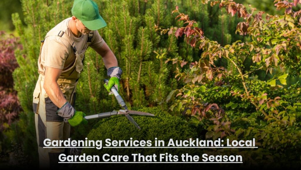 Professional gardener maintaining a healthy residential garden in Auckland with seasonal lawn and plant care.