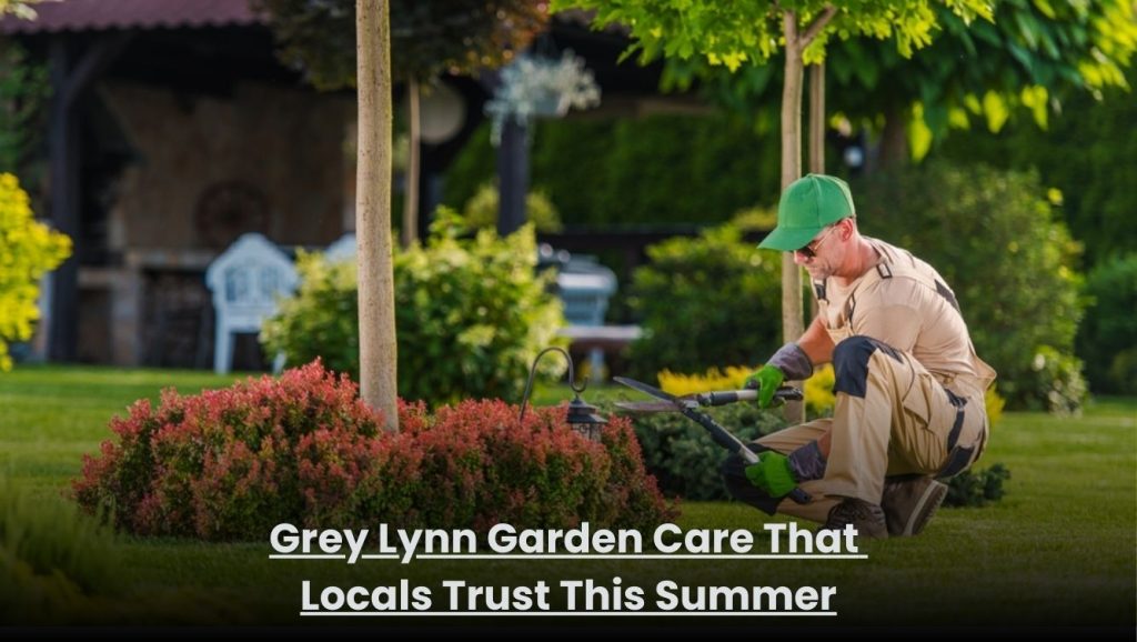 Well-maintained summer garden in Grey Lynn with trimmed lawn and healthy plants