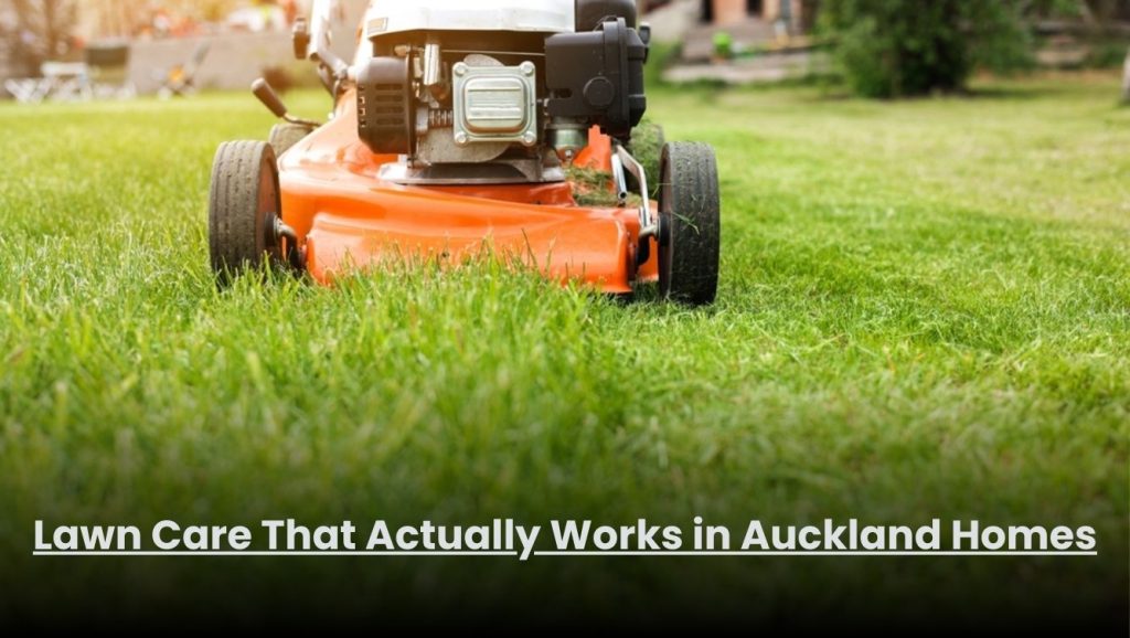 Healthy green lawn after professional lawn care service at an Auckland home