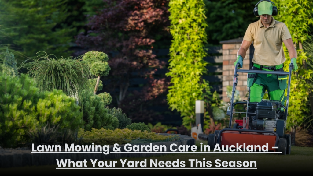 Freshly mowed lawn and maintained garden yard in Auckland during seasonal care