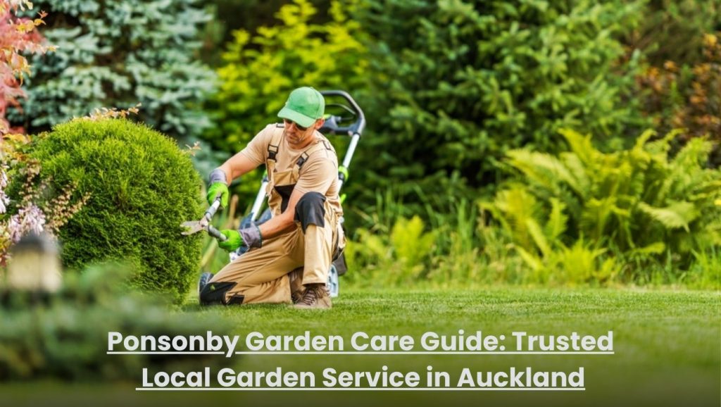 Professional garden care service in Ponsonby Auckland trimming hedges and maintaining a clean green lawn.