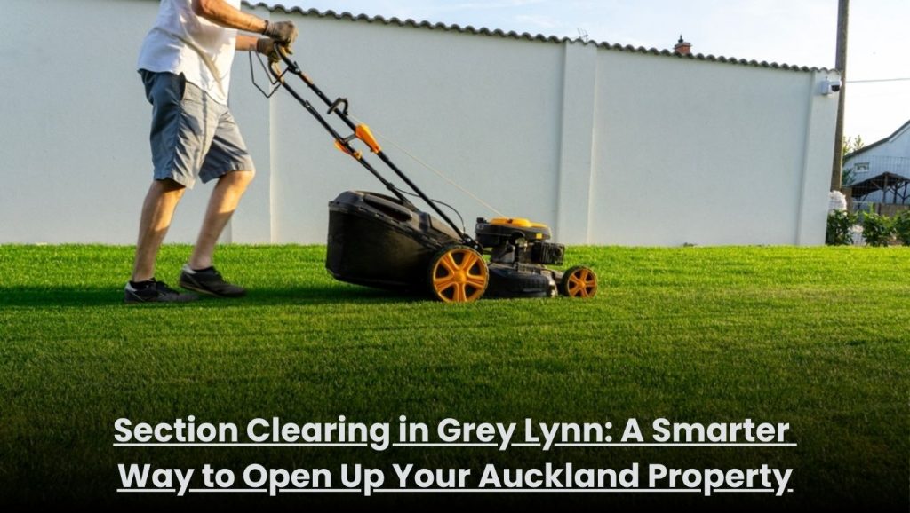 Section clearing service in Grey Lynn clearing overgrown vegetation on an Auckland property
