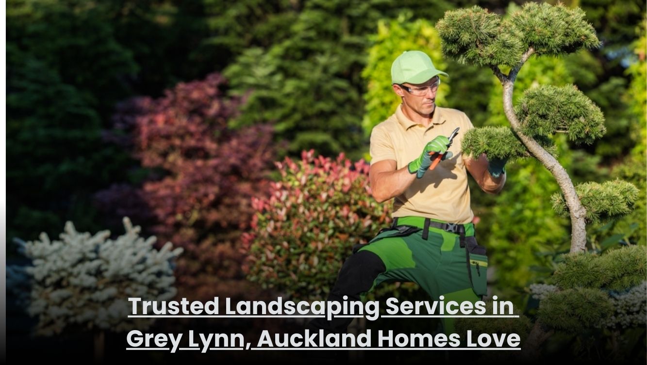 Trusted landscaping services in Grey Lynn Auckland for clean and well-maintained home gardens
