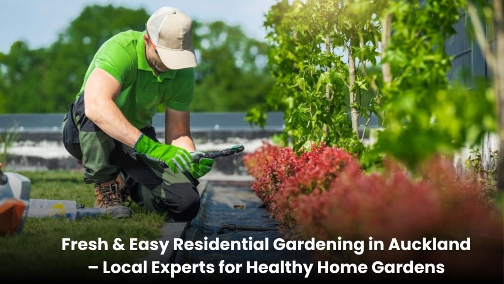 Residential gardening service in Auckland maintaining a clean and healthy home garden with lawn care and plants