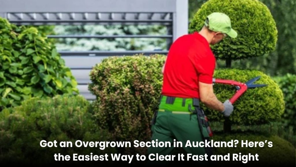 Overgrown garden section in Auckland being cleared with tools and equipment