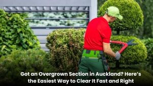 Overgrown garden section in Auckland being cleared with tools and equipment