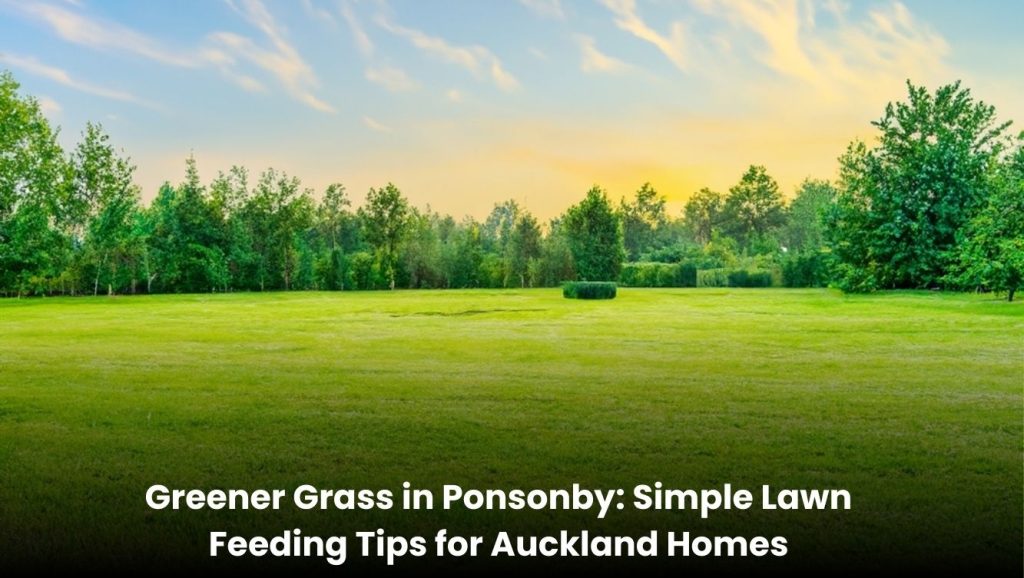 Green healthy lawn in Ponsonby Auckland with proper lawn feeding and care