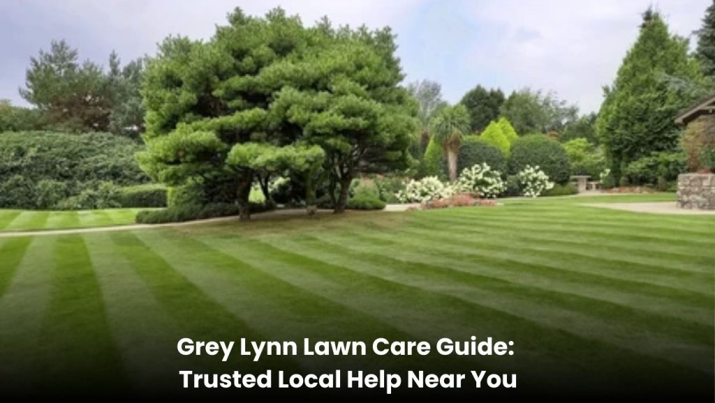Professional lawn care service maintaining a green residential lawn in Grey Lynn Auckland.