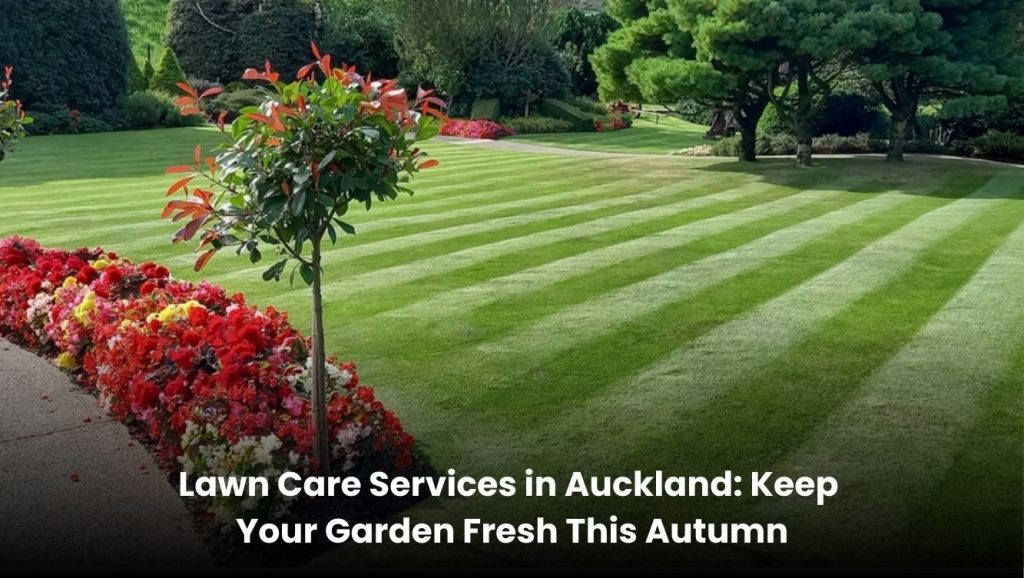 Professional lawn care service in Auckland mowing and maintaining a green residential garden during autumn