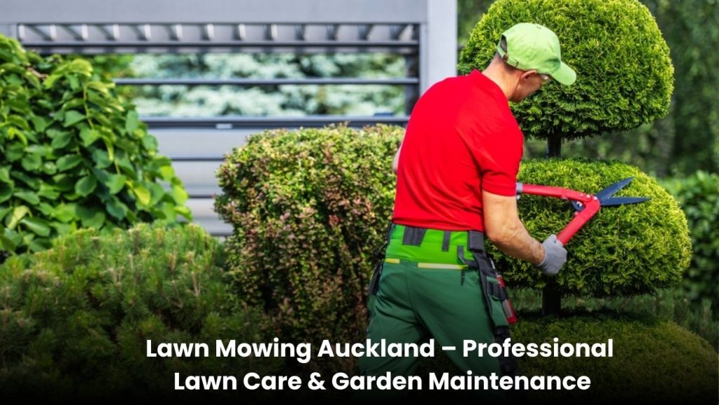 Professional lawn mowing service in Auckland maintaining a clean green garden lawn.