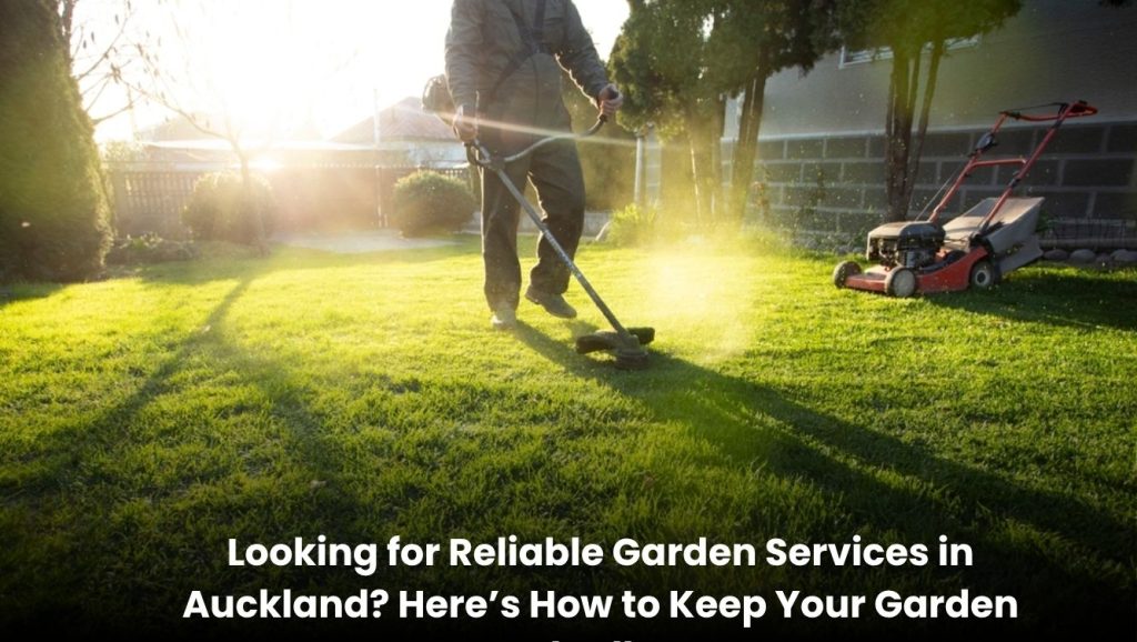 Well-maintained garden in Auckland with trimmed hedges, green lawn, and clean outdoor space after professional garden service.