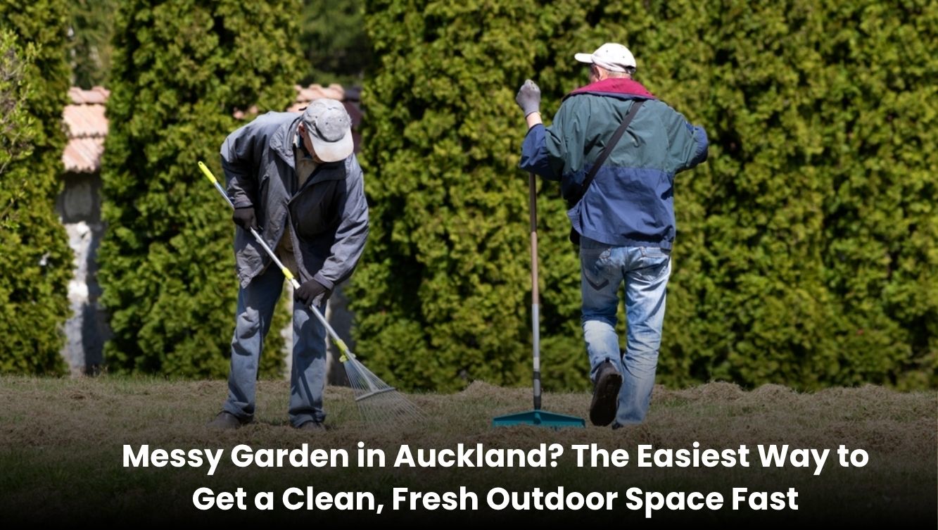 Garden cleaning service transforming a messy Auckland yard into a clean and fresh outdoor space