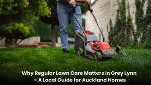 Regular lawn mowing service maintaining a healthy green lawn in Grey Lynn Auckland home garden