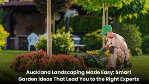 Auckland garden landscaping with modern outdoor design and green lawn