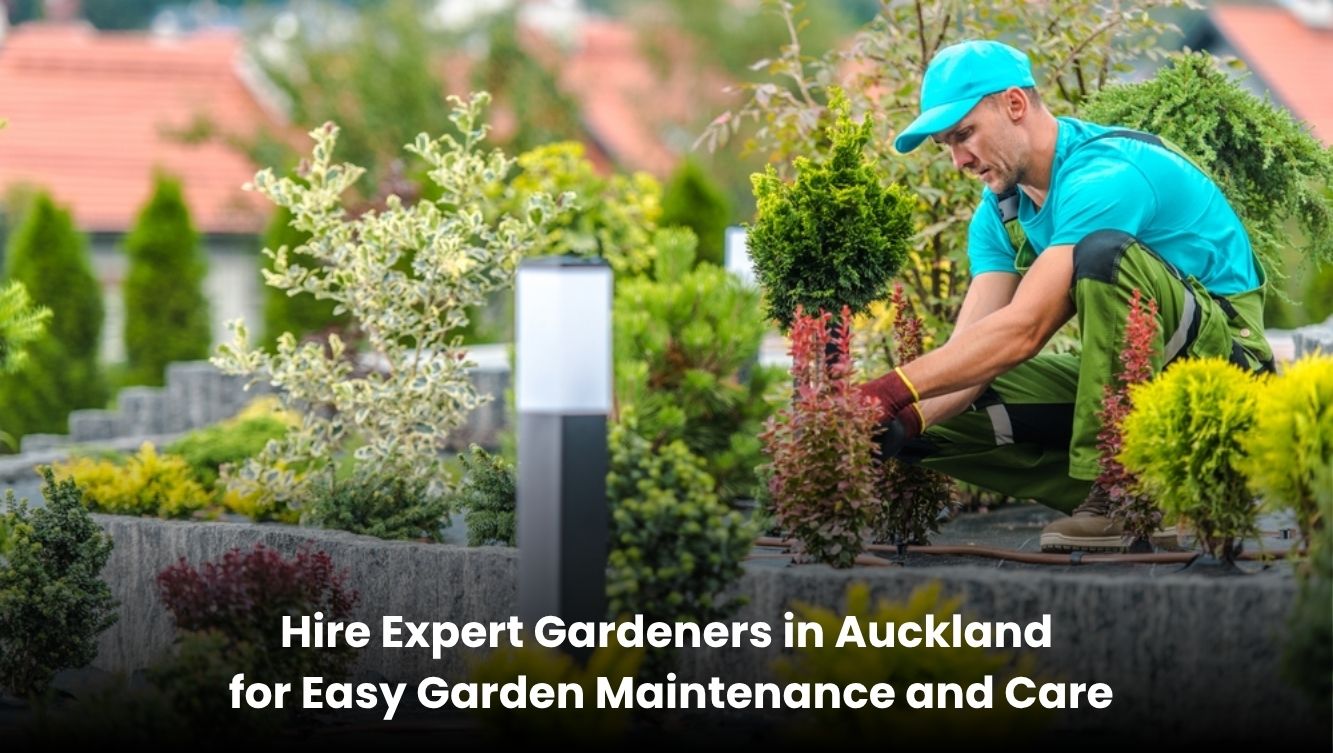 Expert gardeners providing garden maintenance and care services in Auckland
