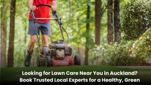 Professional lawn care service in Auckland cutting green grass in a well-maintained residential garden