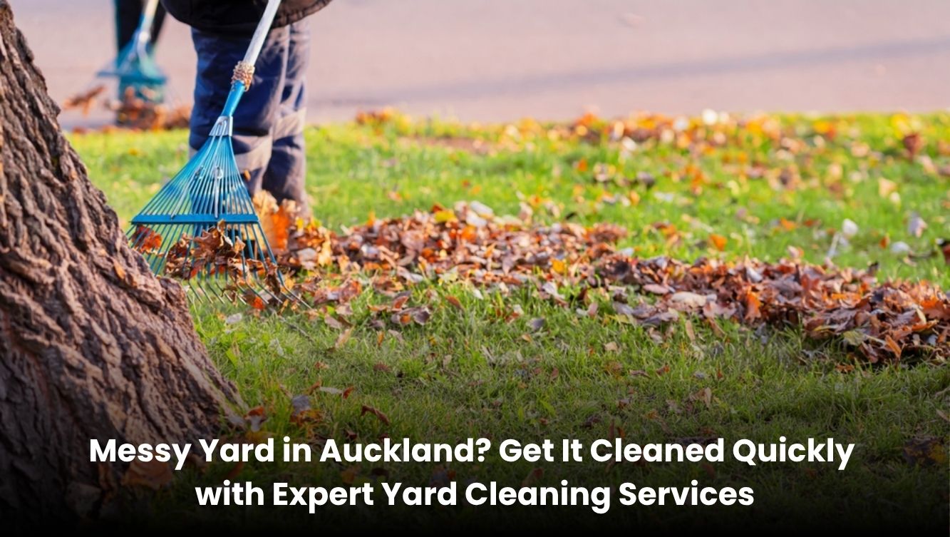 Professional yard cleaning service in Auckland clearing a messy garden and making it clean and tidy.