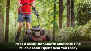 Professional lawn mowing service in Auckland cutting grass evenly on a clean green lawn