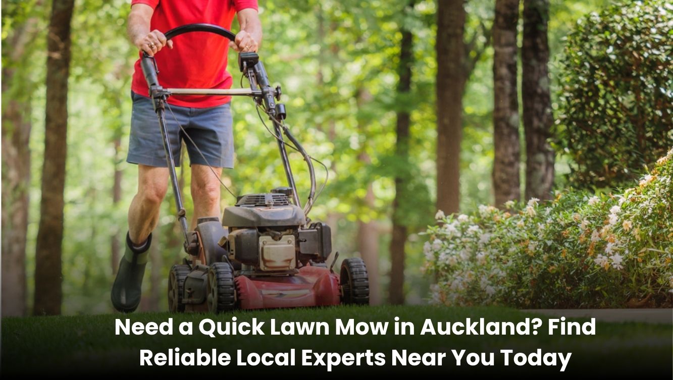 Professional lawn mowing service in Auckland cutting grass evenly on a clean green lawn