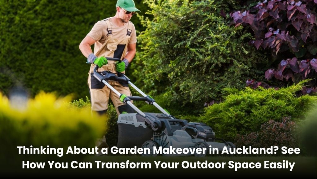 Beautiful garden makeover in Auckland with fresh lawn, plants, and modern outdoor design