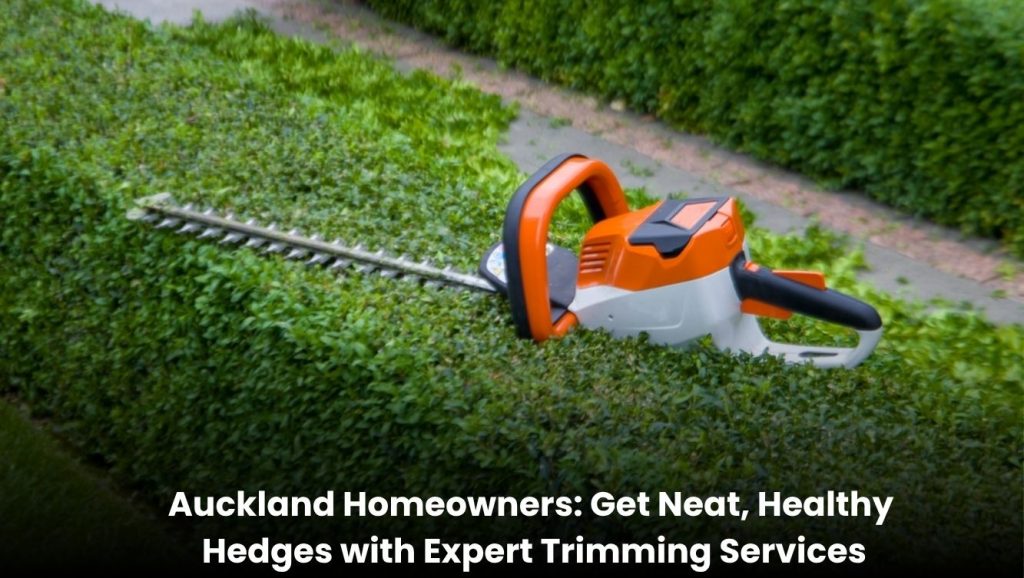 Professional hedge trimming service in Auckland shaping green hedges in a residential garden