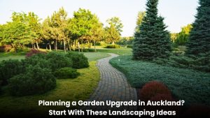 Beautiful landscaped garden in Auckland with green lawn, plants, pathways, and outdoor seating area.