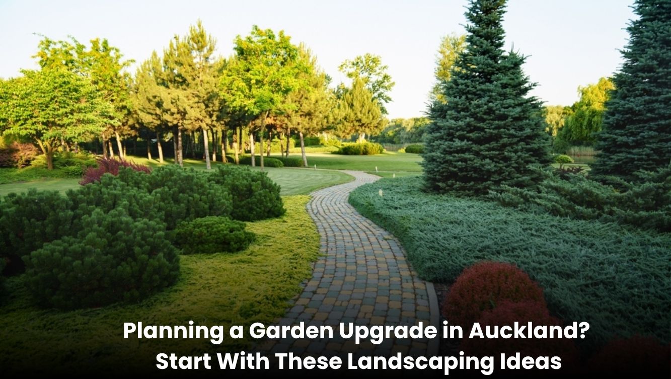 Beautiful landscaped garden in Auckland with green lawn, plants, pathways, and outdoor seating area.