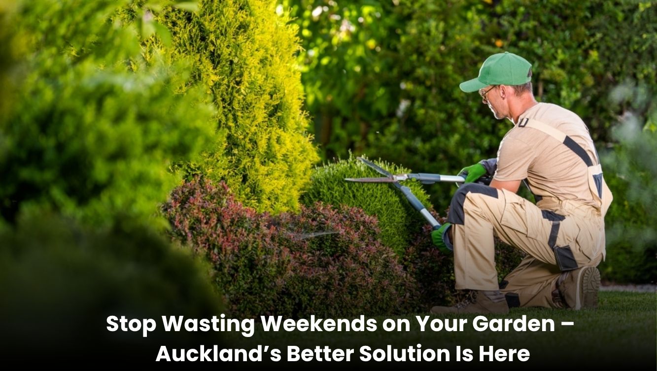 Professional gardener mowing lawn in a clean and well-maintained Auckland garden