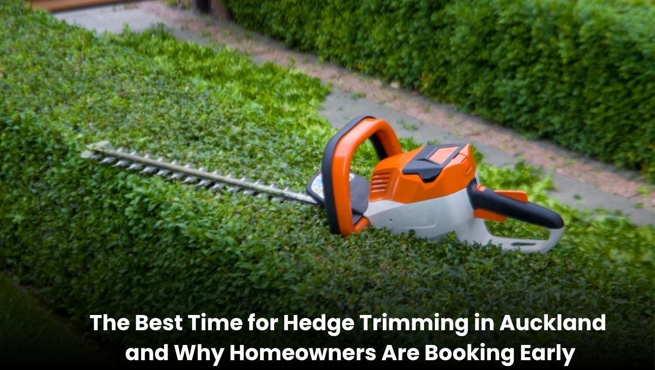 Professional hedge trimming service in Auckland shaping green garden hedges