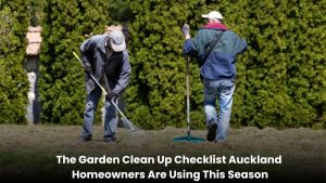 Garden clean up service in Auckland with trimmed plants, clean lawn, and tidy outdoor space