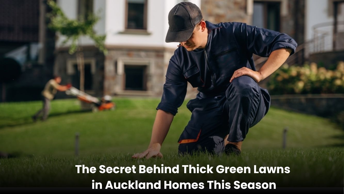 Healthy thick green lawn outside an Auckland home with fresh grass and professional lawn care maintenance.