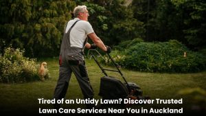 Professional lawn care service in Auckland trimming and maintaining a green residential lawn.