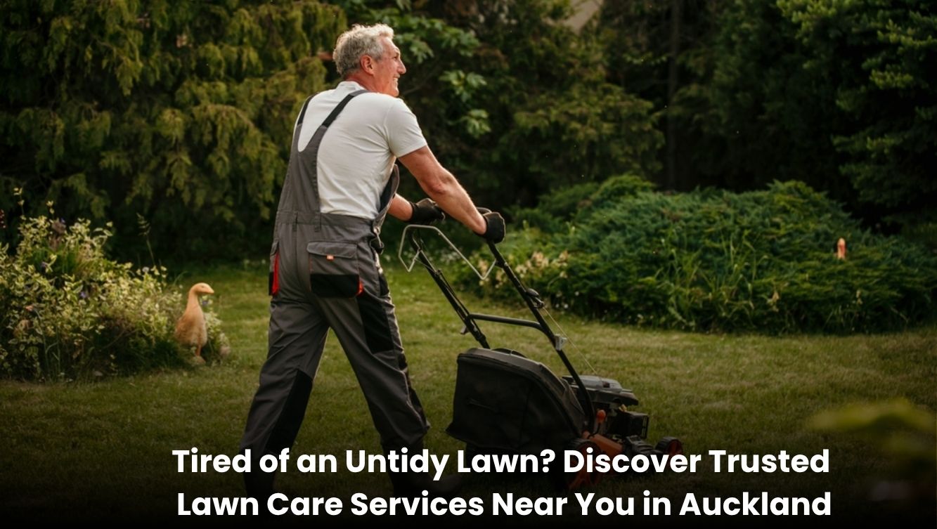 Professional lawn care service in Auckland trimming and maintaining a green residential lawn.