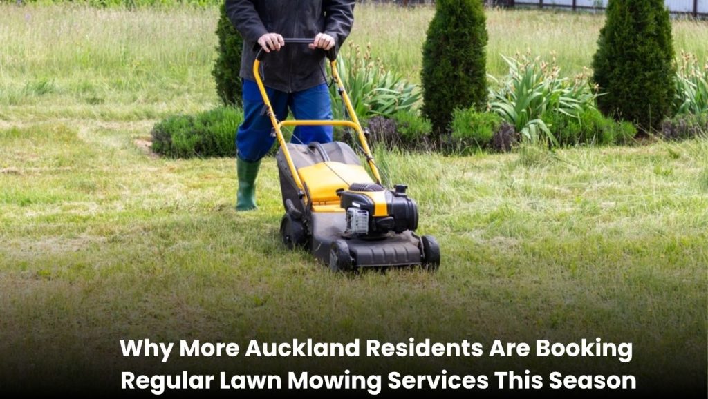 Professional lawn mowing service maintaining a healthy green lawn in Auckland