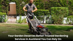 Professional gardening services in Auckland maintaining a clean and green garden