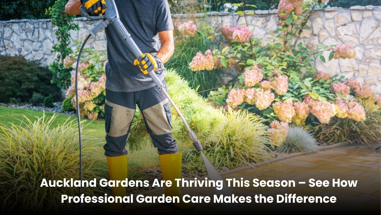 Professional gardener maintaining a healthy and thriving residential garden in Auckland with trimmed hedges, green lawn, and vibrant plants.
