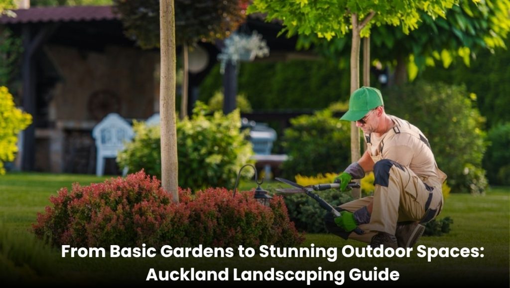 Beautiful Auckland garden makeover featuring landscaped lawns, plants, pathways, and a modern outdoor living space.