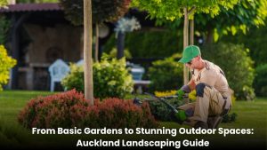 Beautiful Auckland garden makeover featuring landscaped lawns, plants, pathways, and a modern outdoor living space.