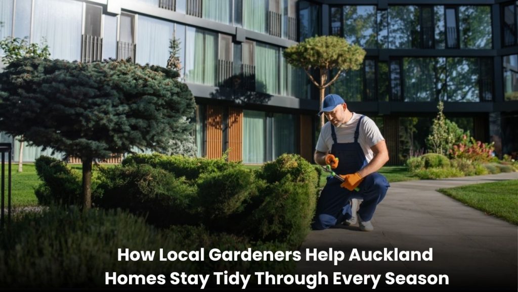 Professional gardener maintaining a tidy residential garden in Auckland during seasonal garden care.