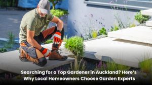 Professional gardener maintaining a beautiful residential garden in Auckland.