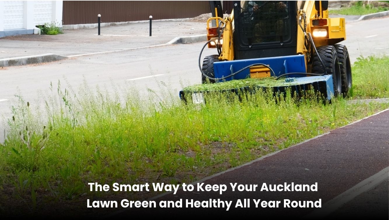 Healthy green lawn in Auckland with professional lawn care maintenance