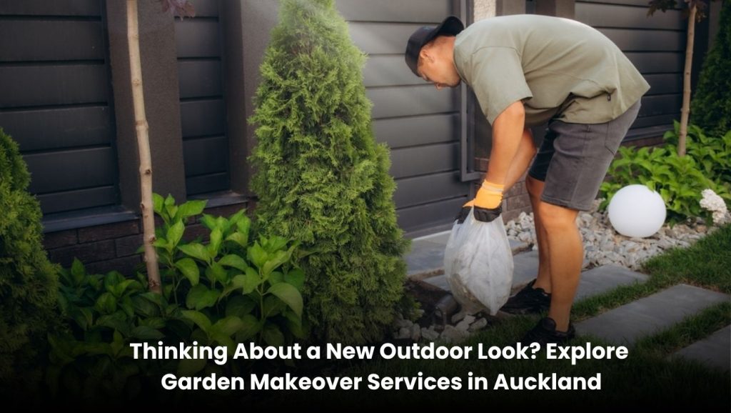 Thinking About a New Outdoor Look? Explore Garden Makeover Services in Auckland