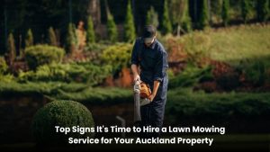 Professional lawn mowing service maintaining a healthy green lawn at an Auckland residential property.