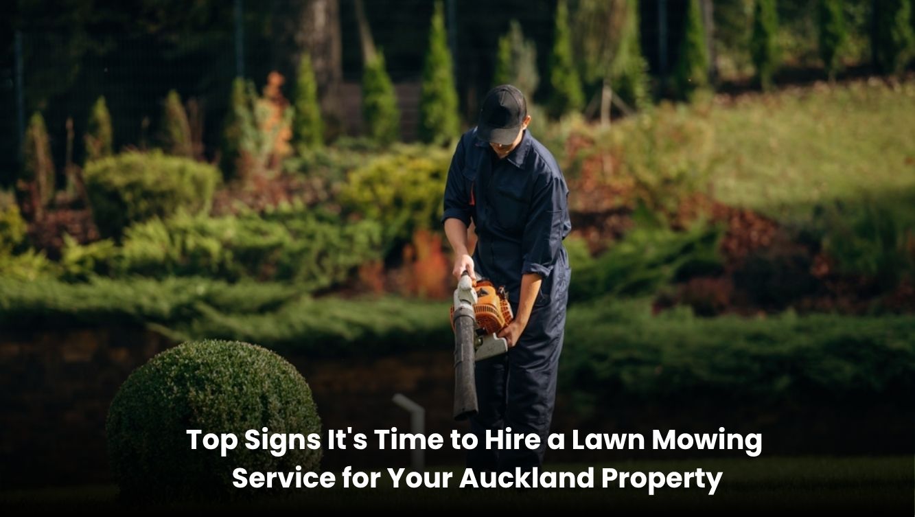 Professional lawn mowing service maintaining a healthy green lawn at an Auckland residential property.