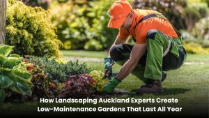 Landscaping Auckland professionals creating a low-maintenance garden with native plants, stone pathways, mulch, and modern outdoor landscaping features.