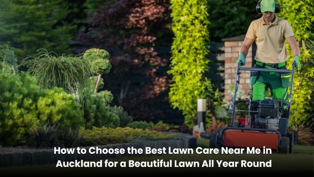 How to Choose the Best Lawn Care Near Me in Auckland for a Beautiful Lawn All Year Round
