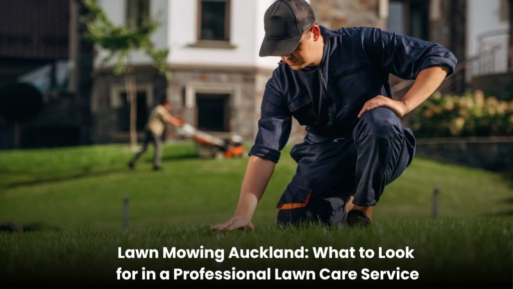 Lawn Mowing Auckland: What to Look for in a Professional Lawn Care Service