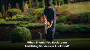Professional lawn fertilizing service improving a healthy green lawn in Auckland with seasonal lawn care techniques.