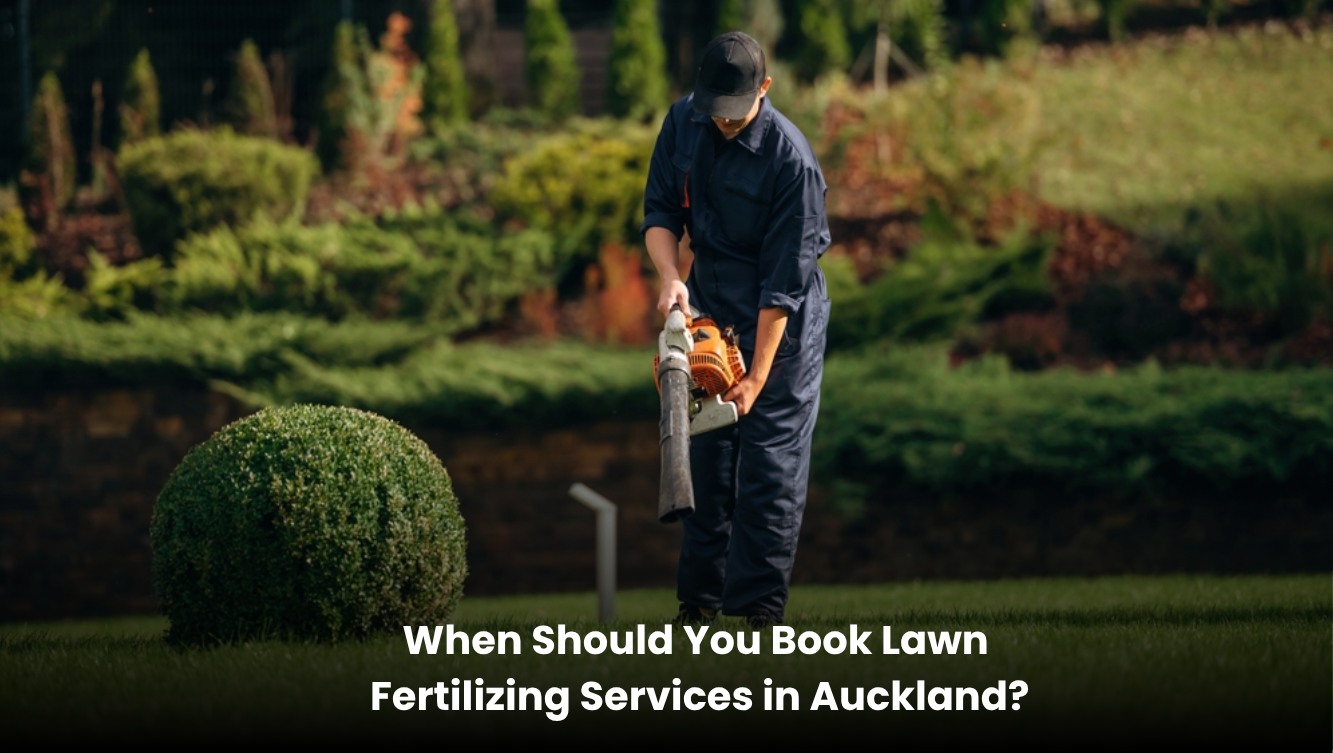 Professional lawn fertilizing service improving a healthy green lawn in Auckland with seasonal lawn care techniques.